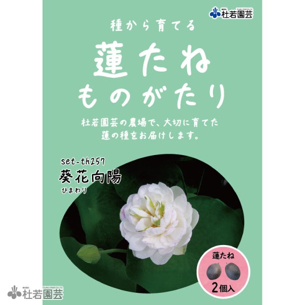 5袋までメール便対応】蓮たねものがたり-葵花向陽(ひまわり)【小型種
