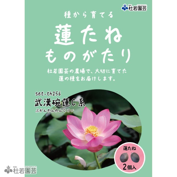 5袋までメール便対応】蓮たねものがたり-紫玉蓮(しぎょくれん)【小型種