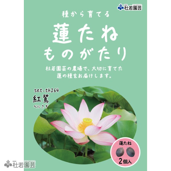 5袋までメール便対応】蓮たねものがたり-即非蓮(そくひれん)【小・中型