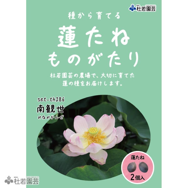 南観世（みなみかんぜ）