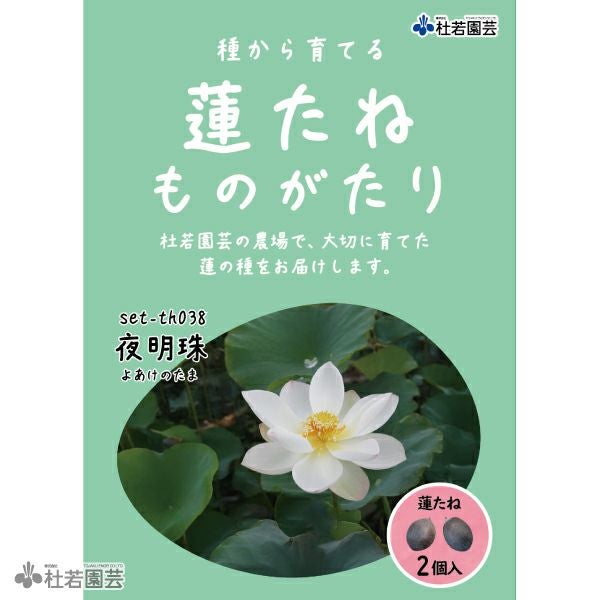 5袋までメール便対応】蓮たねものがたり-夜明珠(よあけのたま)【小型 5袋までメール便対応】蓮たねものがたり-夜明珠(よあけのたま)【小型