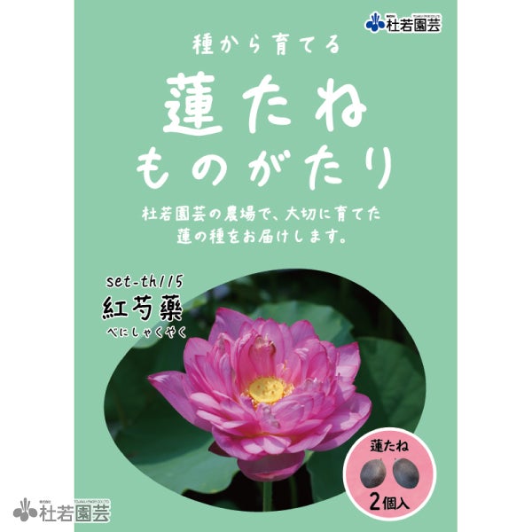 5袋までメール便対応】蓮たねものがたり-巨大型蓮（きょだいがたはす