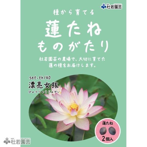 蓮の苗1個( joker ) 5袋までメール便対応】蓮たねものがたり-即非蓮(そくひれん)【小・中型