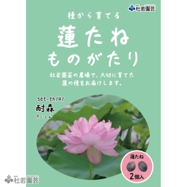 蓮の苗1個( joker ) 5袋までメール便対応】蓮たねものがたり-火炬（かきょ）B-7【中型種