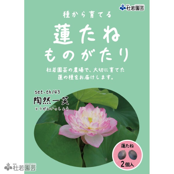 5袋までメール便対応】蓮たねものがたり-東湖春暁（とうこしゅんぎょう