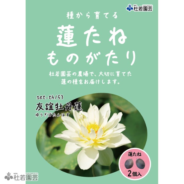 5袋までメール便対応】蓮たねものがたり-友誼牡丹蓮(ゆうぎぼたんはす