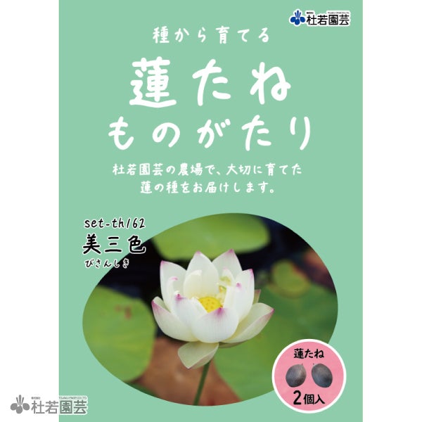 大賀ハスの種 10000粒 大賀ハスの種｜Yahoo!フリマ（旧PayPayフリマ）