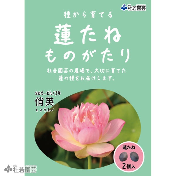 5袋までメール便対応】蓮たねものがたり-即非蓮(そくひれん)【小・中型