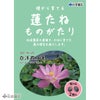 白洋澱紅蓮（はくようでんこうれん）　