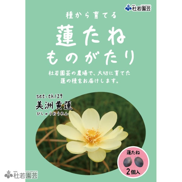 界羽花／3月お取り置き 園芸のテーマパーク】シックな寄せ植えがその場でつくれる！ 福津の