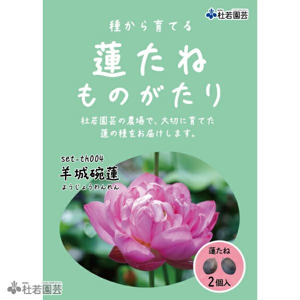 5袋までメール便対応】蓮たねものがたり-羊城碗蓮（ようじょうわんれん
