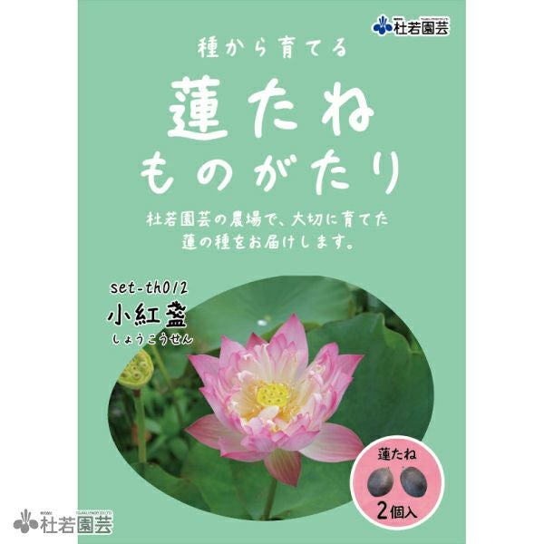 5袋までメール便対応】蓮たねものがたり-友誼牡丹蓮(ゆうぎぼたんはす
