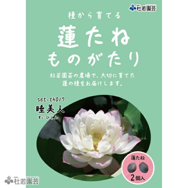 5袋までメール便対応】蓮たねものがたり-睡美人（すいびじん）【小型種