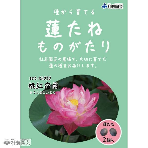 5袋までメール便対応】蓮たねものがたり-黄花蓮（きばなはす）【大型種