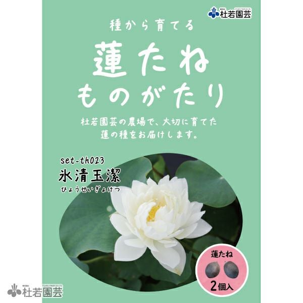3月10日桃蓮玉 5袋までメール便対応】蓮たねものがたり-氷清玉潔（ひょうせいぎょけつ
