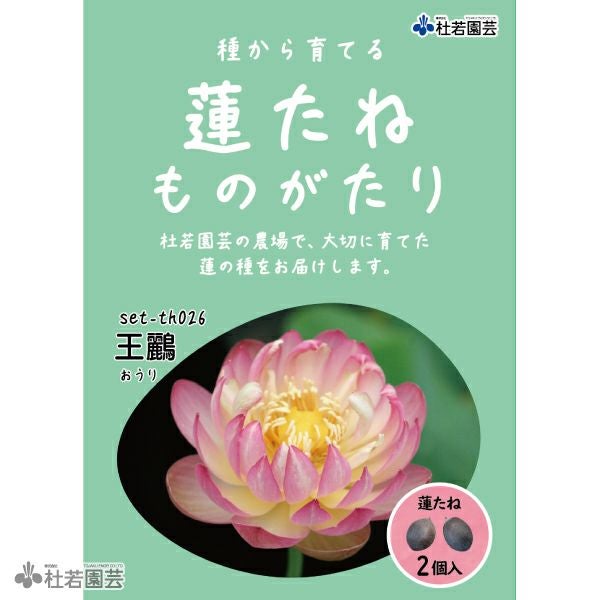 5袋までメール便対応】蓮たねものがたり-王鸝（おうり）【小型種