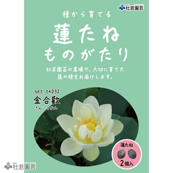 5袋までメール便対応】蓮たねものがたり-厦門碗蓮 【小型種】 | 杜若