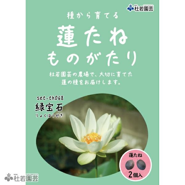 水蓮の花びら 日本語 4枚セット EX]水蓮の花びら/Lotus Petal《日本語》【TMP】
