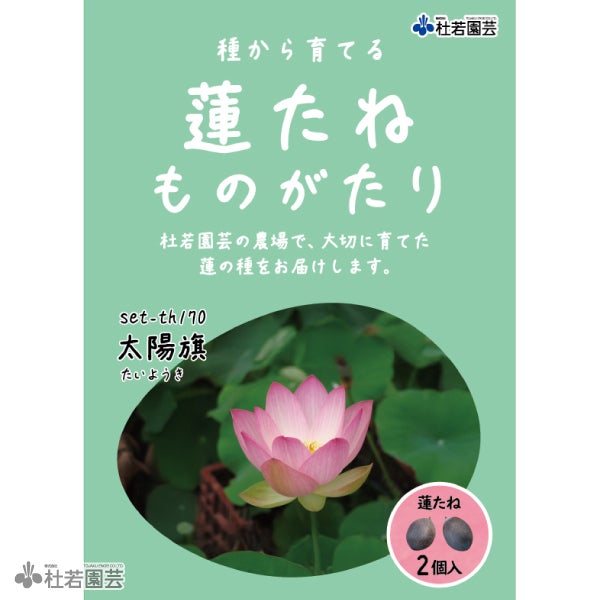 5袋までメール便対応】蓮たねものがたり-蝶戀花(ちょうれんか)【中