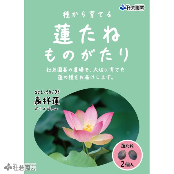 5袋までメール便対応】蓮たねものがたり-蝶戀花(ちょうれんか)【中