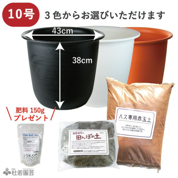 株式会社 杜若園芸｜水草の生産販売【通販ショップ】