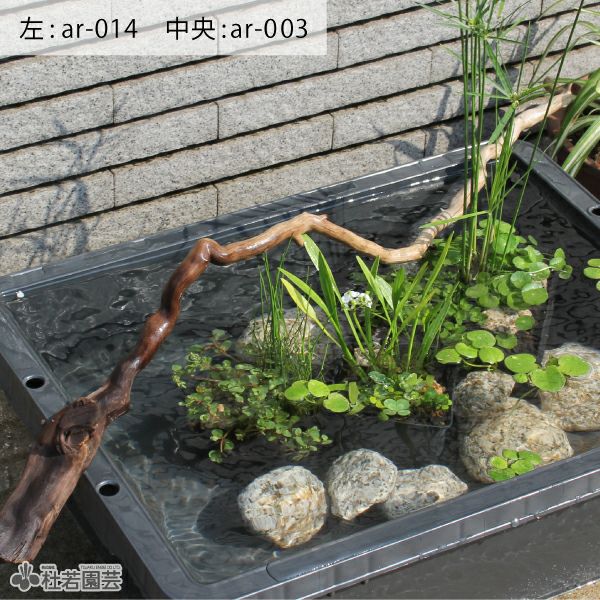 ビオトープ用角ポットアレンジA | 杜若園芸WEBショップ｜水草の生産