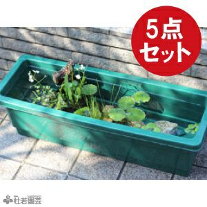 メダカビオトープにおすすめ！】グリーンBOXビオトープチャレンジ5点