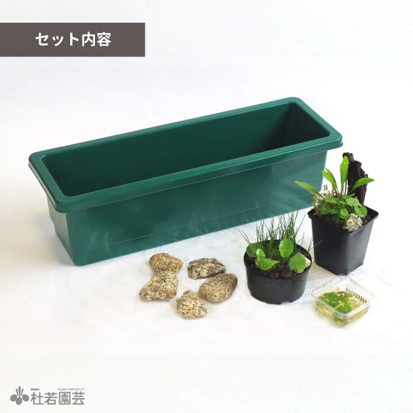メダカビオトープにおすすめ！】グリーンBOXビオトープチャレンジ5点