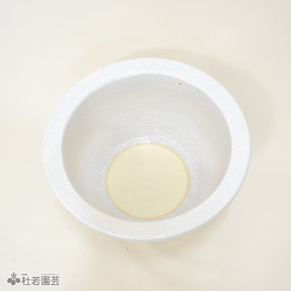 メダカにおすすめ！メダカ鉢】 白カスミ15号 | 杜若園芸WEBショップ