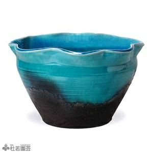 青色 陶器 水鉢 青ガラス花型水鉢 17号 | 杜若園芸WEBショップ｜水草の生産販売【通販