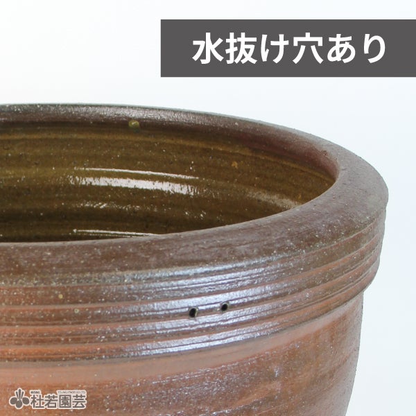陶器鉢（EW2192 大） | 杜若園芸WEBショップ｜水草の生産販売【通販
