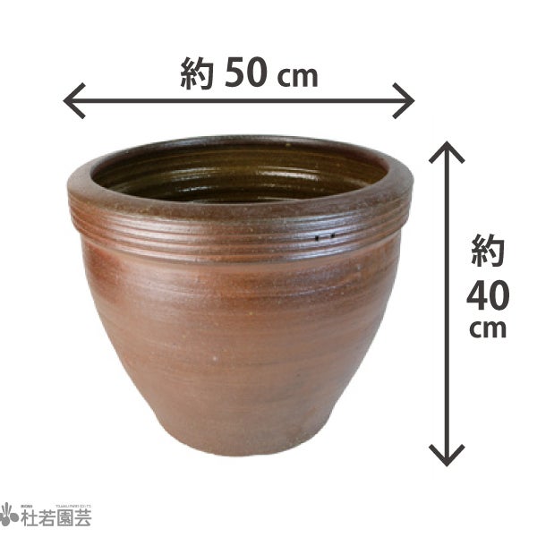 000000002080-03.jpg?size=l&w=