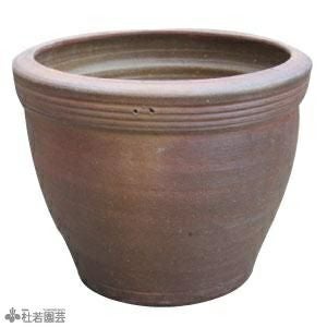 メダカビオトープ鉢（L） | 杜若園芸WEBショップ｜水草の生産販売