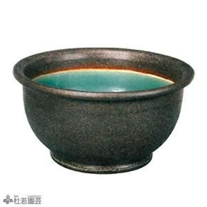 陶器鉢（EW2192 大） | 杜若園芸WEBショップ｜水草の生産販売【通販