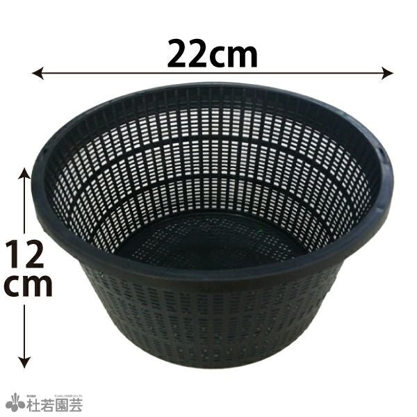 陶器　メダカ鉢・水鉢（１２１） 楽天市場】【期間限定10%OFFクーポン配布中】メダカ鉢 金魚鉢 睡蓮鉢