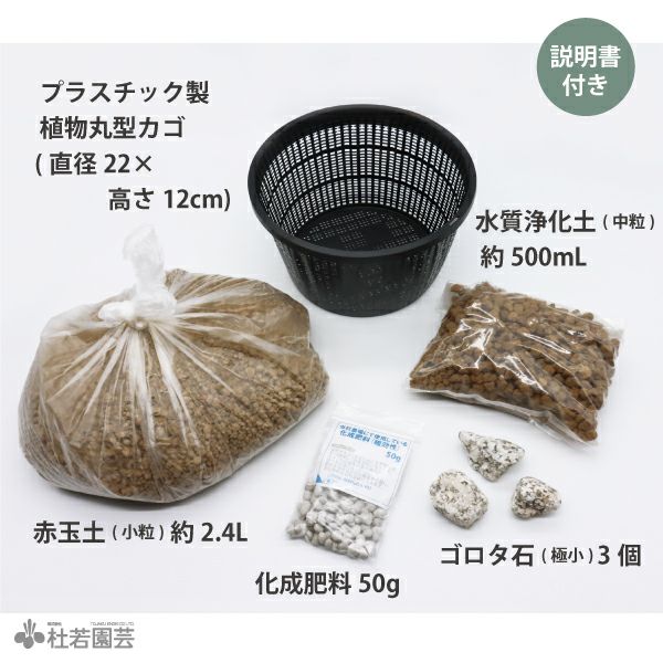 メダカビオトープにおすすめ！】水生植物植え替えセット(丸型カゴ