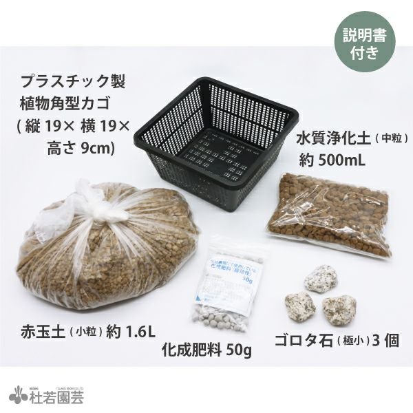 水生植物植え替えセット(角型カゴ・水質浄化土入り) | 杜若園芸WEB