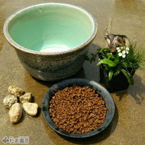 メダカビオトープにおすすめ！】小さな癒し鉢セット（メダカ鉢付き