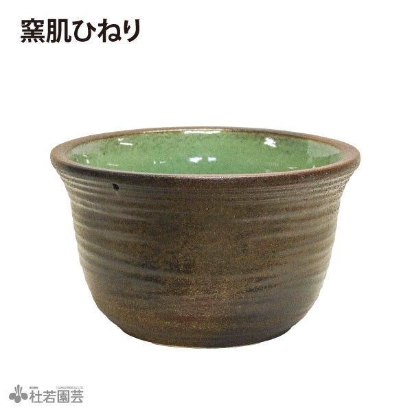 メダカビオトープにおすすめ！】小さな癒し鉢セット（メダカ鉢付き