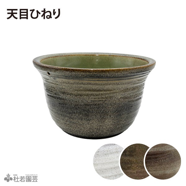 メダカビオトープにおすすめ！】小さな癒し鉢セット（メダカ鉢付き