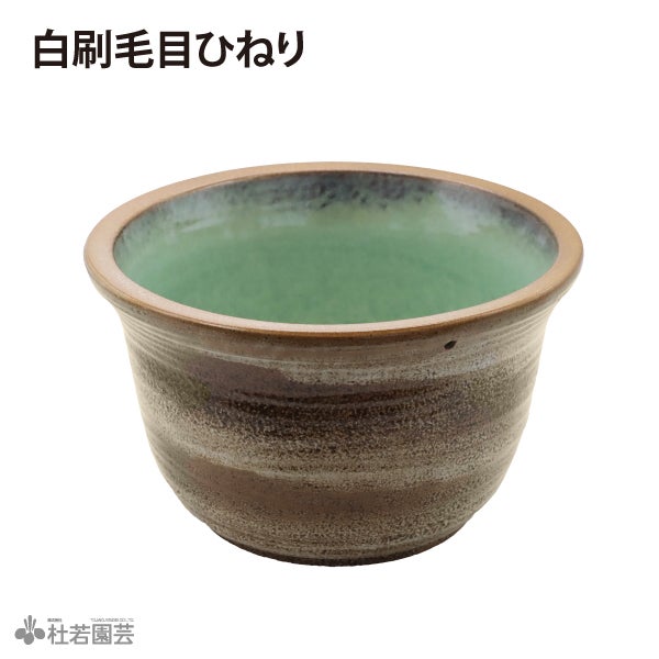 メダカビオトープにおすすめ！】小さな癒し鉢セット（メダカ鉢付き