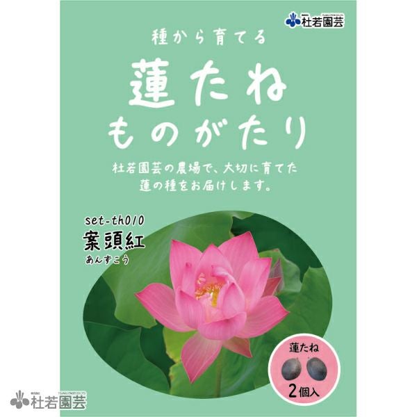蓮の苗1個( joker ) 5袋までメール便対応】蓮たねものがたり-紫玉蓮(しぎょくれん)【小型種