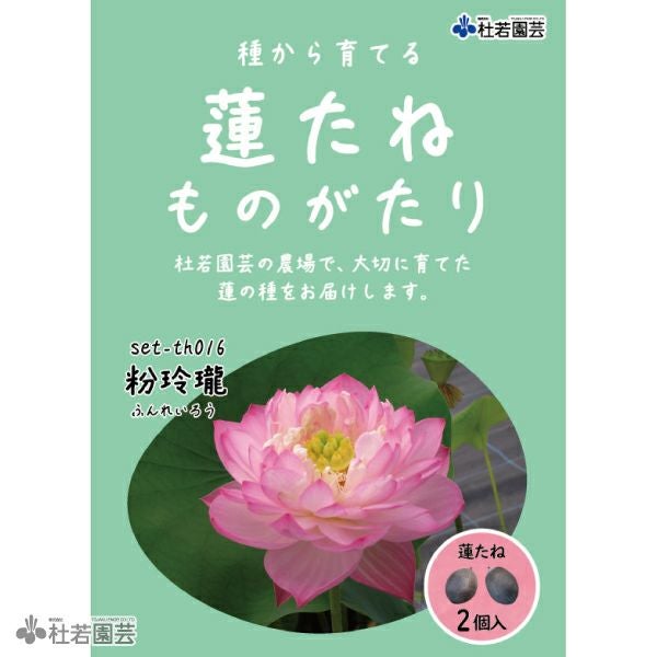5袋までメール便対応】蓮たねものがたり-睡美人（すいびじん）【小型種