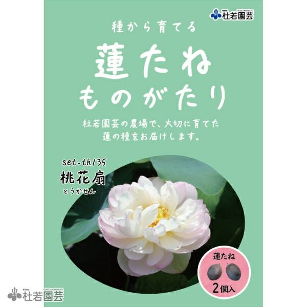 桃花扇(とうかせん)