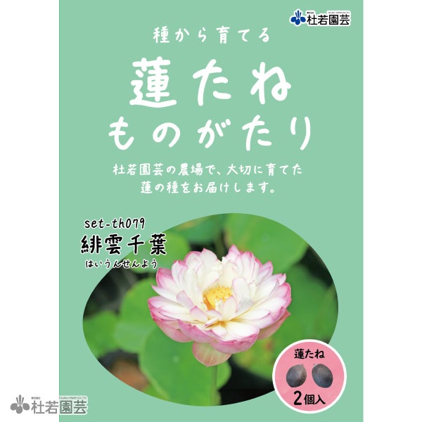 5袋までメール便対応】蓮たねものがたり-蝶戀花(ちょうれんか)【中