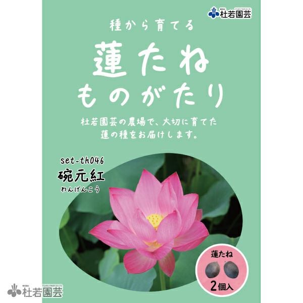 5袋までメール便対応】蓮たねものがたり-中国食実蓮(ちゅうごくしょく