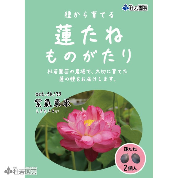 4種類の蓮の花のセット( つくものご注文です。) 000000002349-01.jpg?size=m&w=