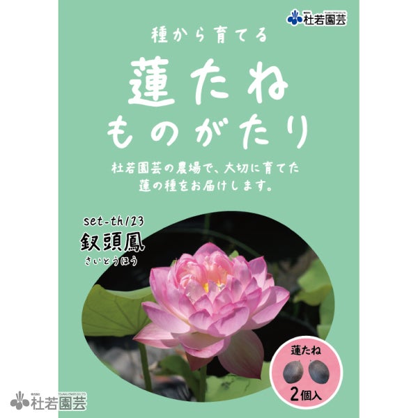 5袋までメール便対応】蓮たねものがたり-錦蕊蓮(きんずいれん)【大型種