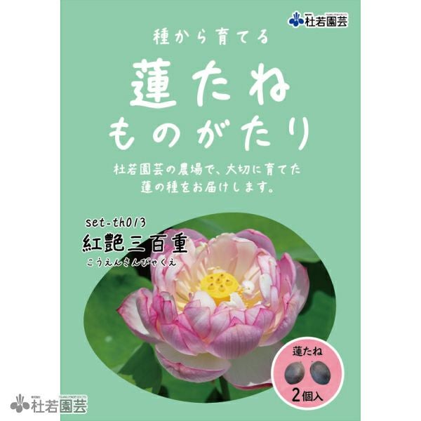 蓮（ハス）の種子の通販（販売） | 杜若園芸WEBショップ｜水草の生産