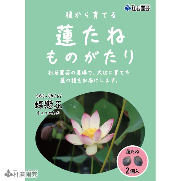 蓮、ハス】天驕（てんきょう）【中・大型種】 | 杜若園芸WEBショップ